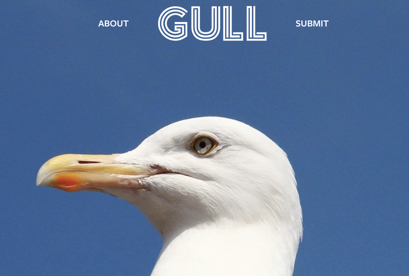 Gull Literary Journal